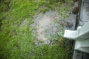 Why Is Standing Water Bad for Your Yard?